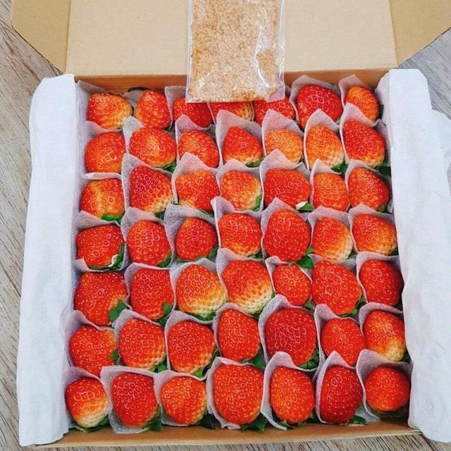 New Crop Premium grade Strawberry - Wholesale Natural Sweet Delicious Red Fresh Strawberry Vietnam Origin at Best Market Price – product photo 5, product detail gallery