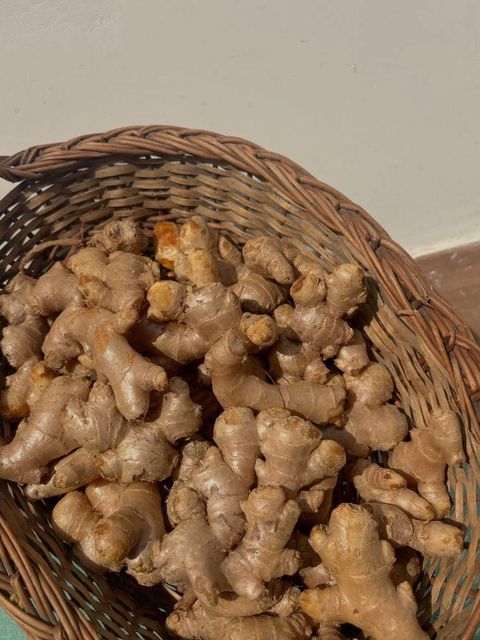 Premium Quality Fresh Ginger Root Wholesale Fresh Vegetables Ginger Bulk Stock At Wholesale Cheap Price - Image 4