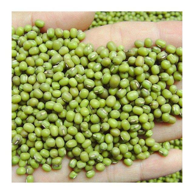 Organic Bangladesh Natural Common Cultivation Best Trade Certified Products Monggo Green Mung Beans Exportable Food Grade Munggo – product photo 5, product detail gallery