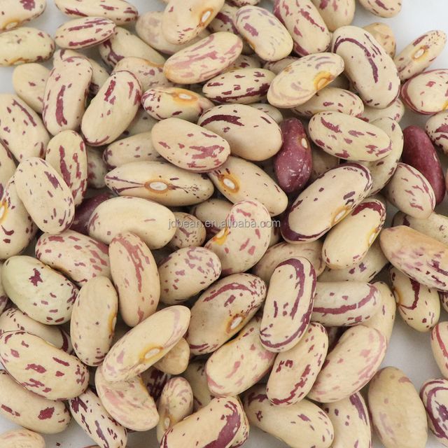 Pinto Beans Organic Dried Light Speckled Kidney Beans Sugar Beans - Image 3