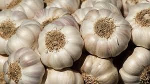 Iranian Vegetables Origin Iran Pesticide Use None Texture Natural And Fresh Color Varied Based On Vegetable Type Growth Method Sustainable Farming Practices - Image 4