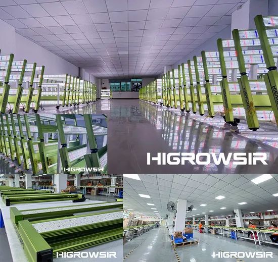 Full Spectrum LED Grow Light 1000W for Thriving Indoor Plant Growth - Image 6