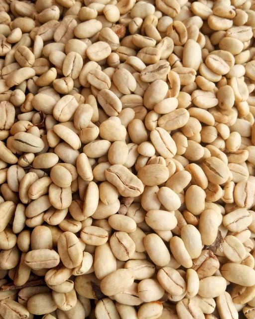 Premium Gayo Arabica Fully Washed - Image 4