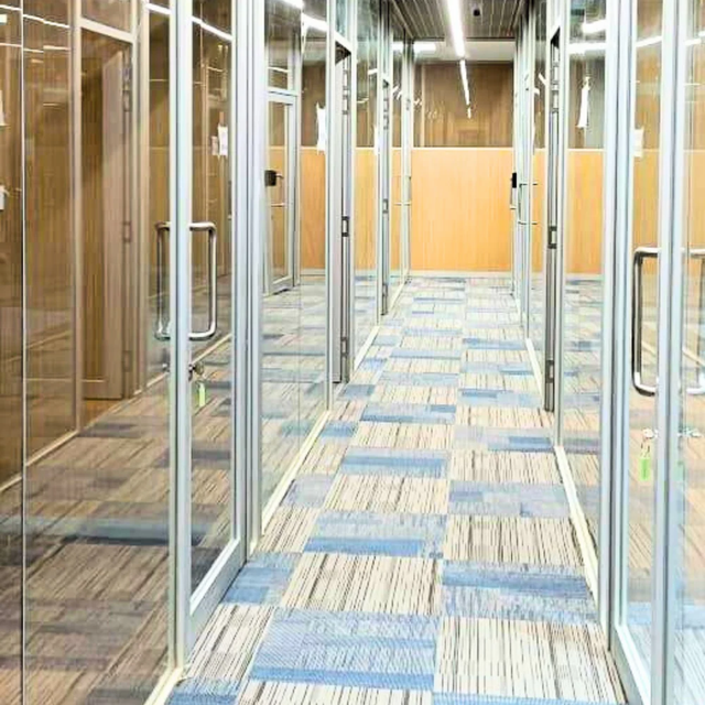 Windor Slender Single Glass Partition System with style door, 10 mm - Image 1