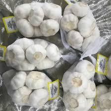Fresh Organic Garlic Size 5.0cm Style Fresh Type Garlic Weight 0.2 Kg Ingredients - Image 3