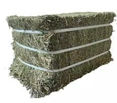 Alfalfa Hay Canada - Image 2