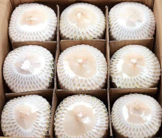 Fresh Coconut - Image 4