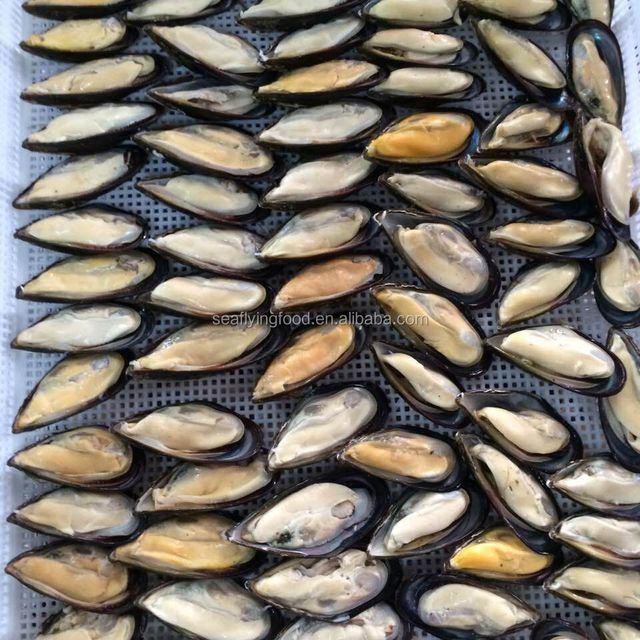 frozen cooked mussel with half shell Style FROZEN Weight (kg) 1 Address China Packaging Bulk Content MUSSEL Ingredients - Image 3