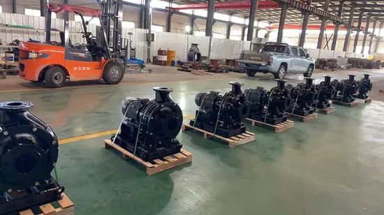 Non-Clogging Screw Centrifugal Feed Horizont Pump for Biogas Plants Anaerobic Digestion Corrosion-Resistant Materia Energy-Efficient Abrasion-Resistant Impeller - Image 6
