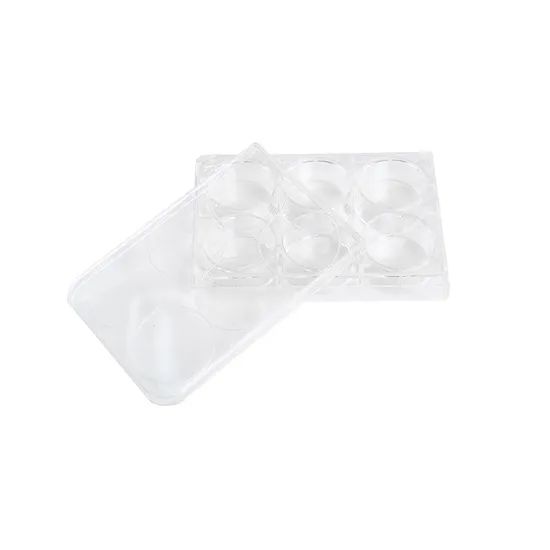 High Quality Disposable Plastic Petri Dishes Various Sizes Sterile for Lab Use - Image 2