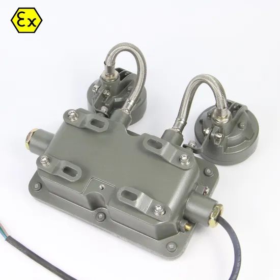 LED Explosion Proof Twin Head Emergency Exit Light for Marine Oil Field - Image 3