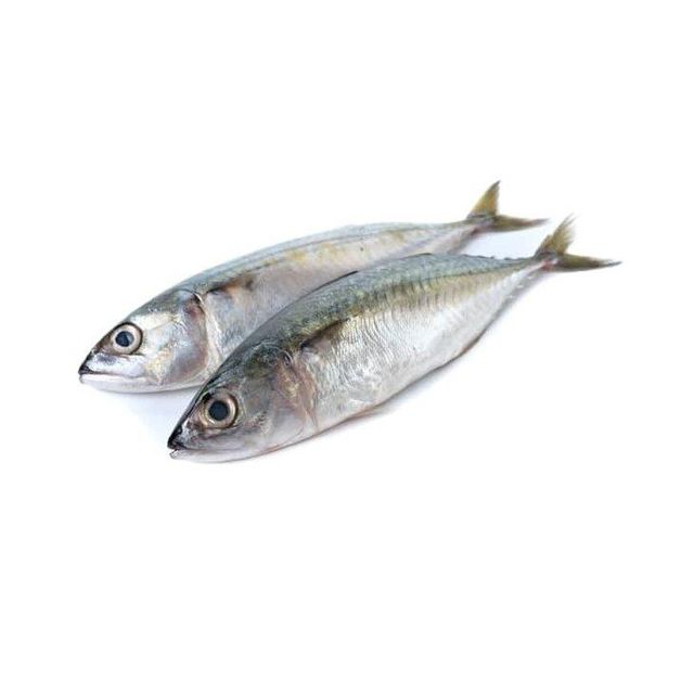 Cheap Price Frozen Mackerel Fish Bulk Supply - Image 3