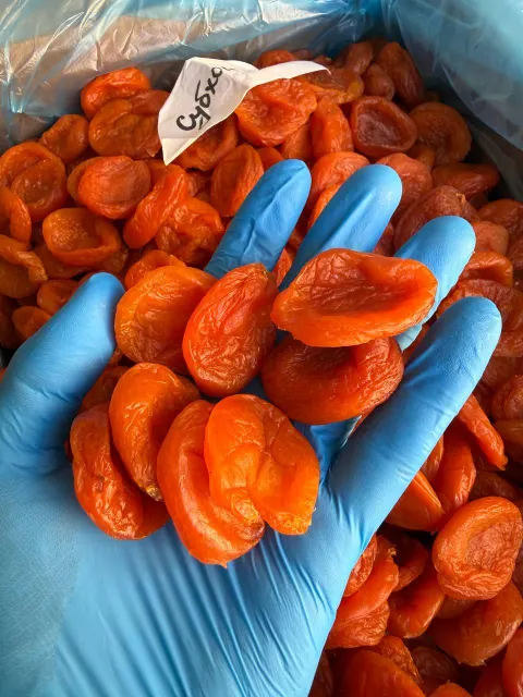 Dried Apricots | Top Grade | Pitted | Size 1-4 | SO2 | Conventional | Uzbekistan - Image 3