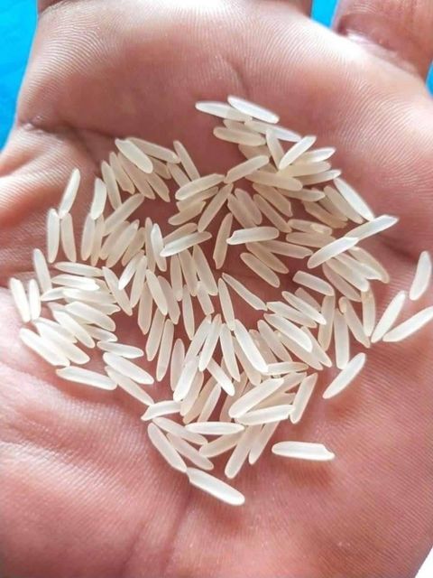 Long Grain Fragrant Basmati Rice - Image 2
