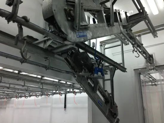 Fully Automatic Slaughtering Equipment for Cattle - Image 5