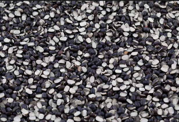 Urad Black Lentils - Image 1