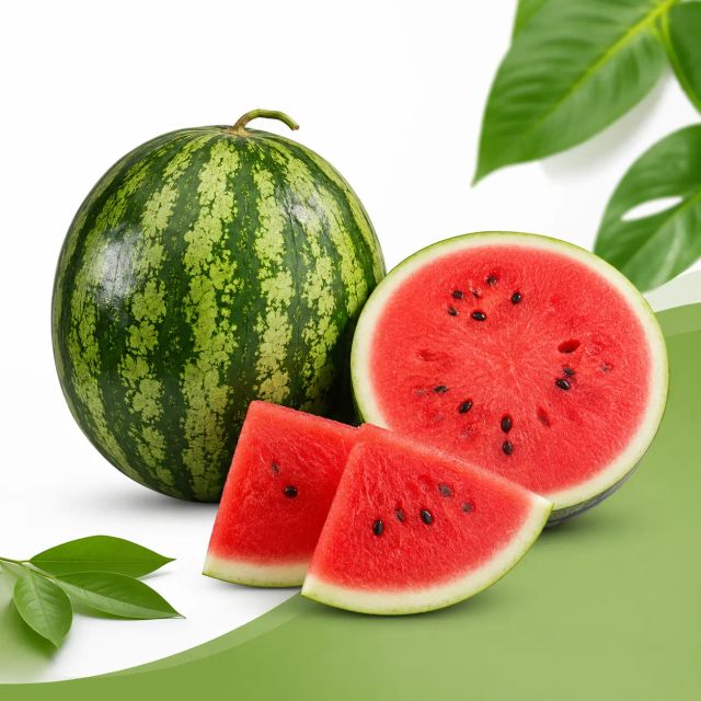 Watermelon Features Organic Form Whole Fruit Origin Indonesia Brix Level 10–13%% Technique Handpicked Grade Export Grade A - Image 5