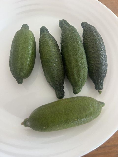 CAVIAR LEMON - Image 3