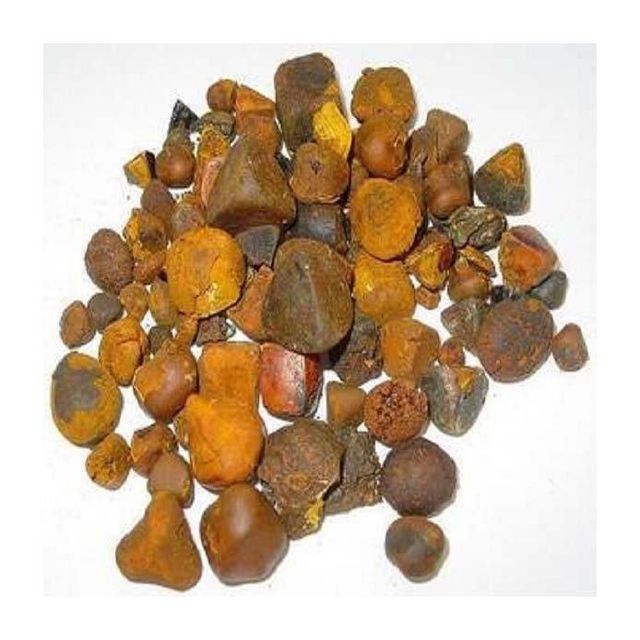 Gallstones Cattle Ox Cow Gallstones for sale in good price - Image 3