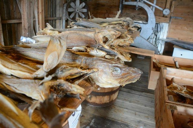 Premium Dried Norwegian Stock Fish and Cod Heads Available In Stock Ready To Ship With Fast Delivery And Wholesale - Image 3