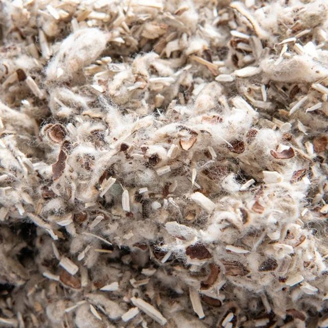 Cottonseed Hulls High Fiber Livestock Feed Ingredient With Natural Roughage Content For Dairy Cattle And Farm Nutrition - Image 5