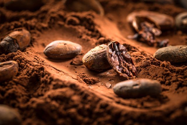 Fresh Cocoa Bean for wholesale premium Cocoa Bean with natural aroma high demand for chocolate and baking purposes - Image 3