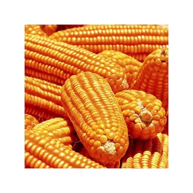 Brazil Commodities frozenchickenexports.com - Image 1