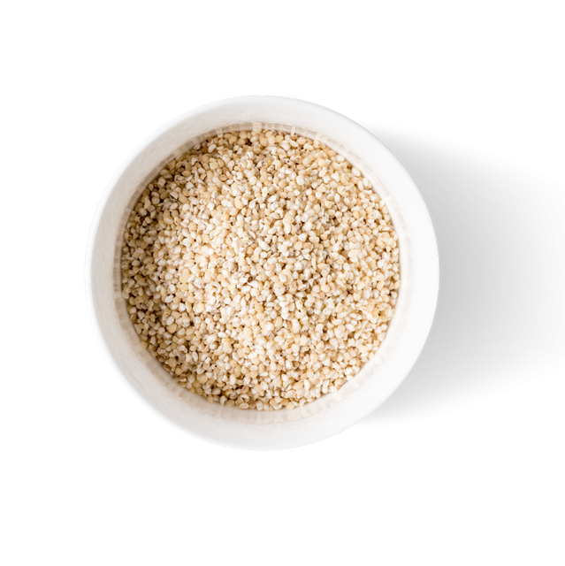 Bulk sorghum grains wholesale at factory direct low pricing - Image 2