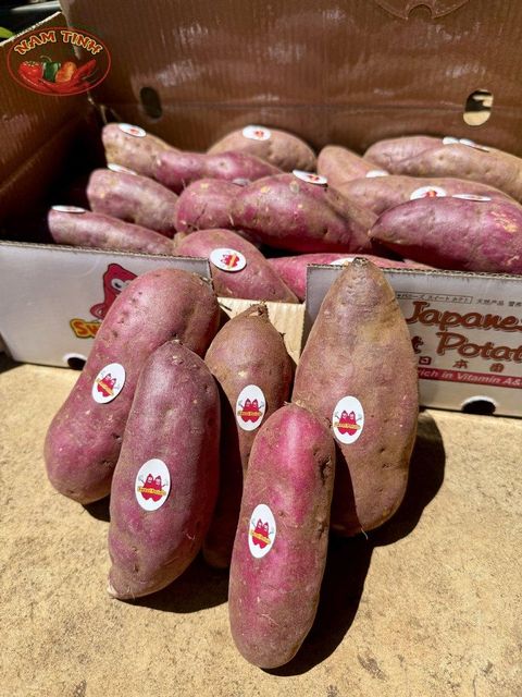 FRESH SWEET POTATO - Image 4