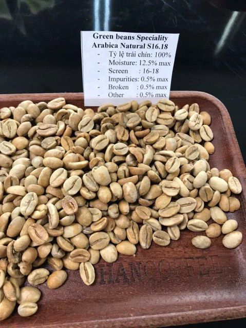 HANCOFFEE 2025-2026 New Crops Vietnam Arabica Green Coffee Bean Best Price Grade 3-1 Size 14-18 Washed/Natural - Free Sample - Image 3