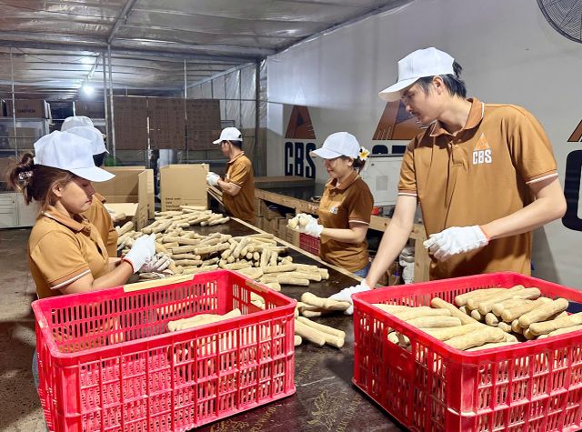CBS Vietnam- Coffee Wood Blocks - Image 2