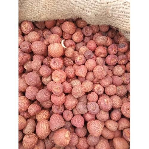 Affordable Dried Betel Nuts Bulk Pack Wholesale Areca Nuts for Chewing Traditional Use and Trading - Image 3