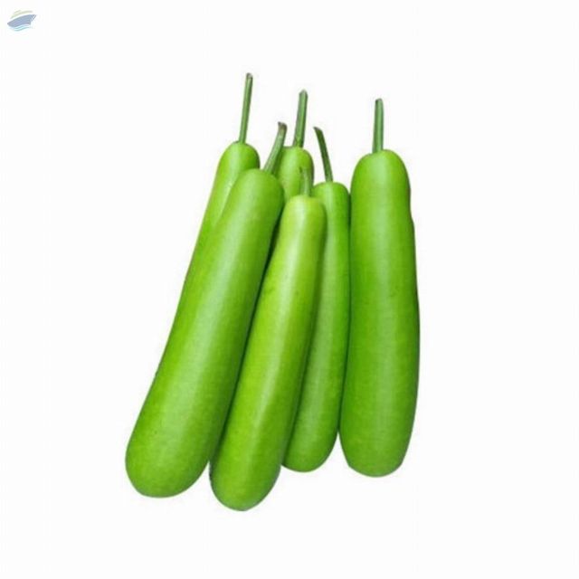 Bottle Gourd - Image 1