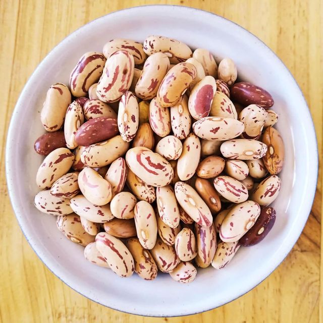 Dried Sugar Beans With Long Shelf Life And High Purity For Export And Wholesale Distribution Markets - Image 5