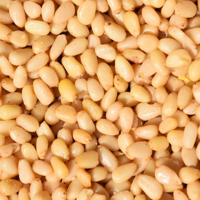 Fresh Pine Nuts Packed With Nutrients Delicious And Healthy Snack Option - Image 1