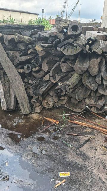 APremium Grade African Hardwood Packaging Logs Origin Nigeria Certification CITIES Quality Premium Grade Place of Origin - Image 5