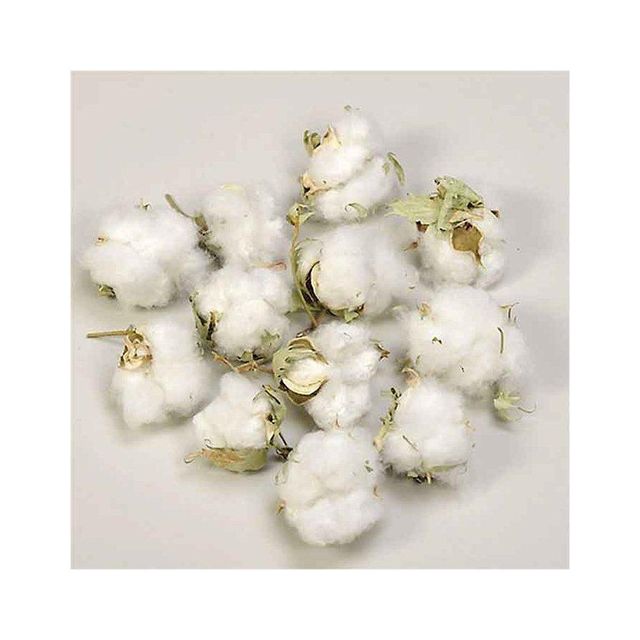 Raw cotton available for global buyers in compressed bales Type A, Foil Screen Printing - Image 4