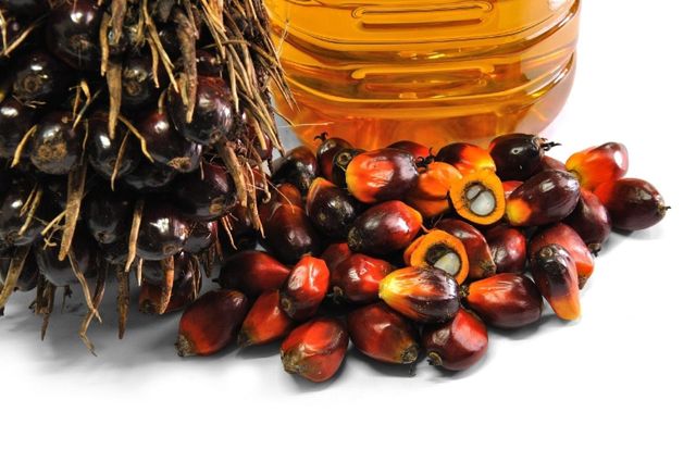 Hot Sale Palm Oil RBD PALM OLEIN CP10-CP8-CP6 Olein CP10, CP8, CP6 For Cooking /Palm Kernel OIl CP10 - Image 5