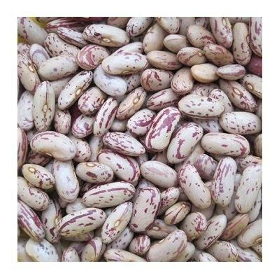 Cheap Price Bulk Stock Light Speckled Sugar Beans | Pinto Beans for Sale in Bulk With Fast Delivery – product photo 4, product detail gallery