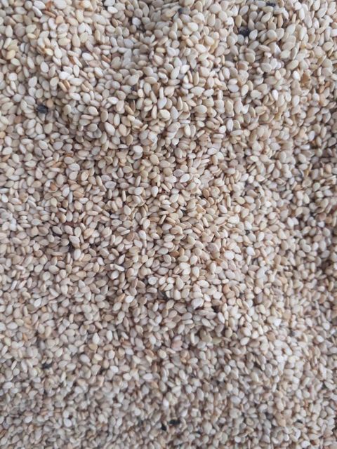 High Quality Organic Sesame Seeds Natural Planting Type Raw Food Grade Dried Available Factory Supply Bulk Wholesale Price - Image 6