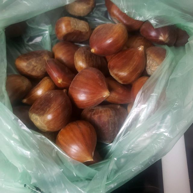 Golden Brown Chestnuts Delivering Authentic Nut Flavor For Gourmet Food Ingredients And Wholesale Deliveries - Image 3