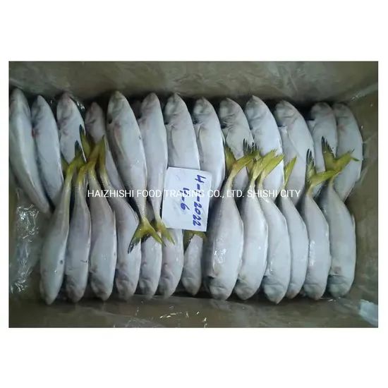 New Stock Oman Origin Frozen Yellow Tail Scad Fish Style Whole Processing BQF Trademark HEALSEA Origin Fujian, China Storage Temperature - Image 5