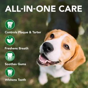 OEM ODM Toothpaste for Cats & Dogs - Image 6