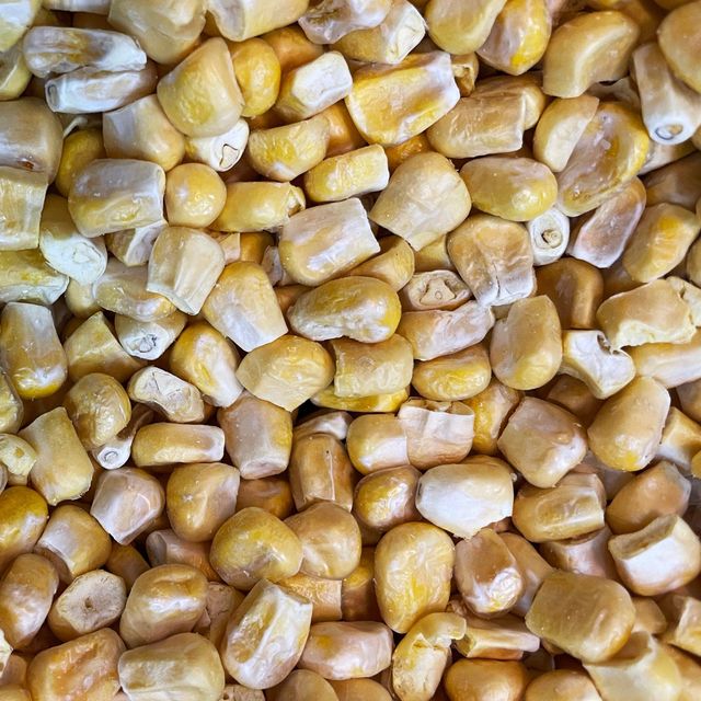 Hot Sale Yellow Corn Maize High Quality Dried Corn for Animal Feed Poultry Feed and Food Processing Bulk Supply - Image 4