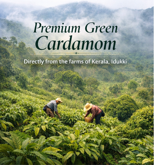Green Cardamom Form Whole Delivery Form Bag Color Vibrant Green Moisture Content Below 10% Harvest Method Hand-harvested - Image 3