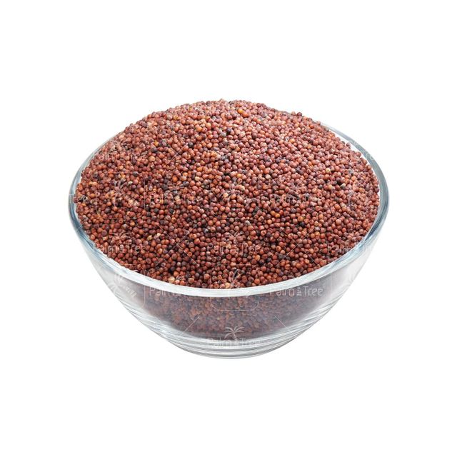 Industrial finger millet bulk supply premium grade grains fast delivery - Image 4