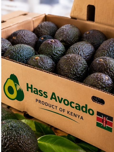 Hass Avocado - Image 3