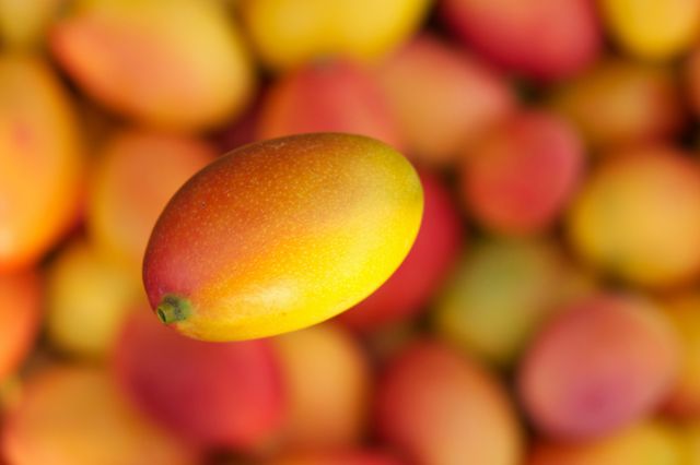 🥭 Premium Pakistani Mango | Fresh Sweet Mango | Grade A Quality | Farm Fresh | Wholesale Supplier | Global Export - Image 5