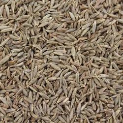 Cumin Seeds Si - Image 3