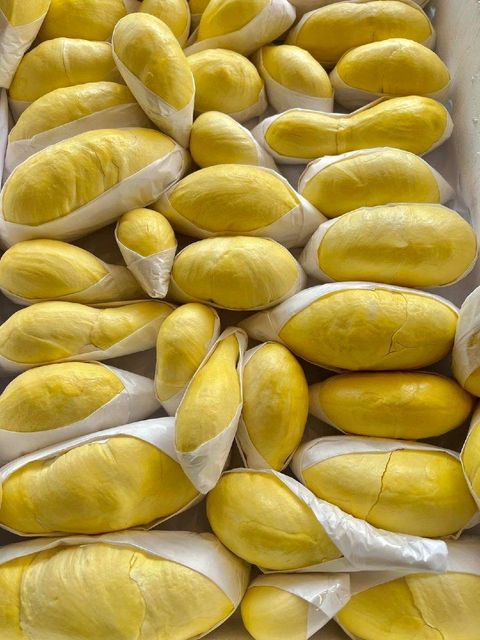 Premium Fresh Organic Peeled Durian Mon Thong King of Fruits Original Taste From Thailand Rich & Creamy 500G/BOX (Peeled) - Image 3